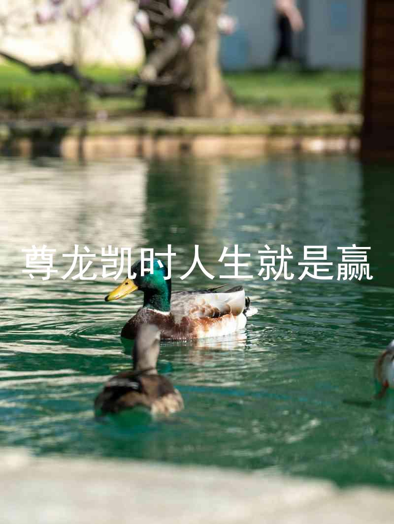 尊龙凯时人生就是赢