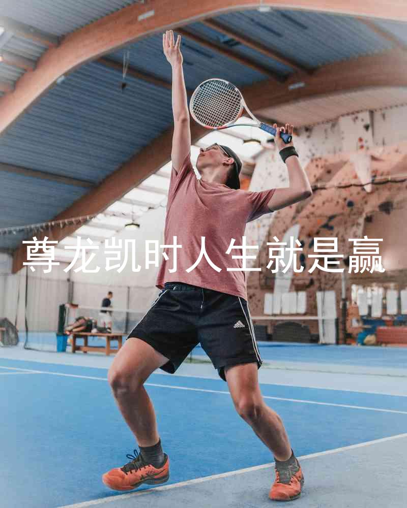 尊龙凯时人生就是赢