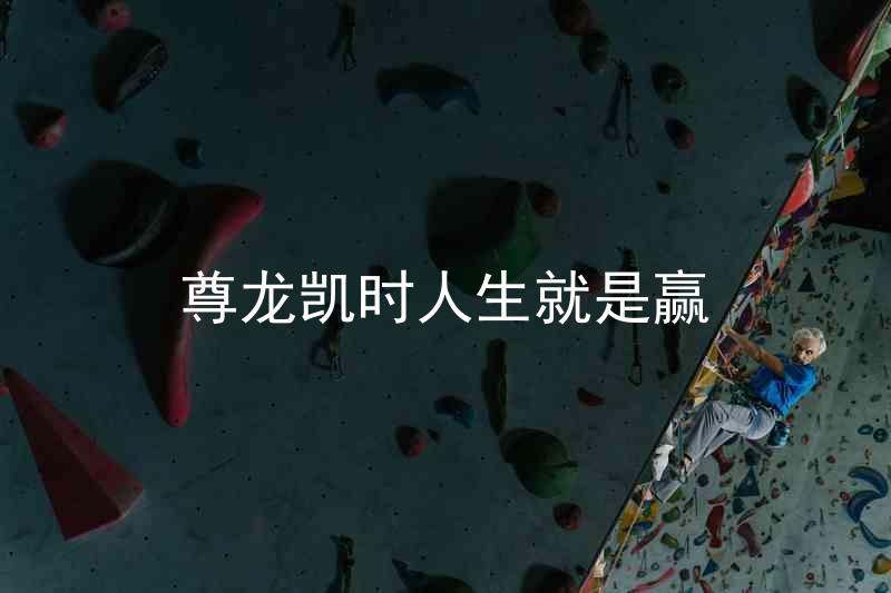 尊龙凯时人生就是赢