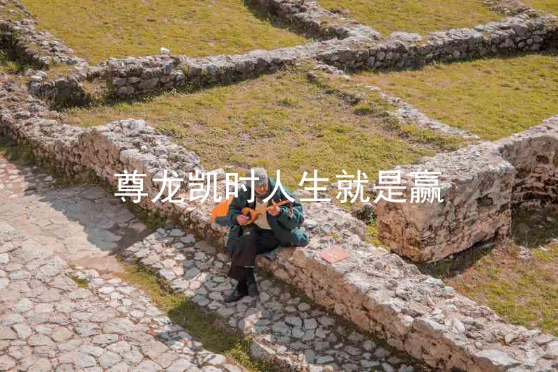 尊龙凯时人生就是赢