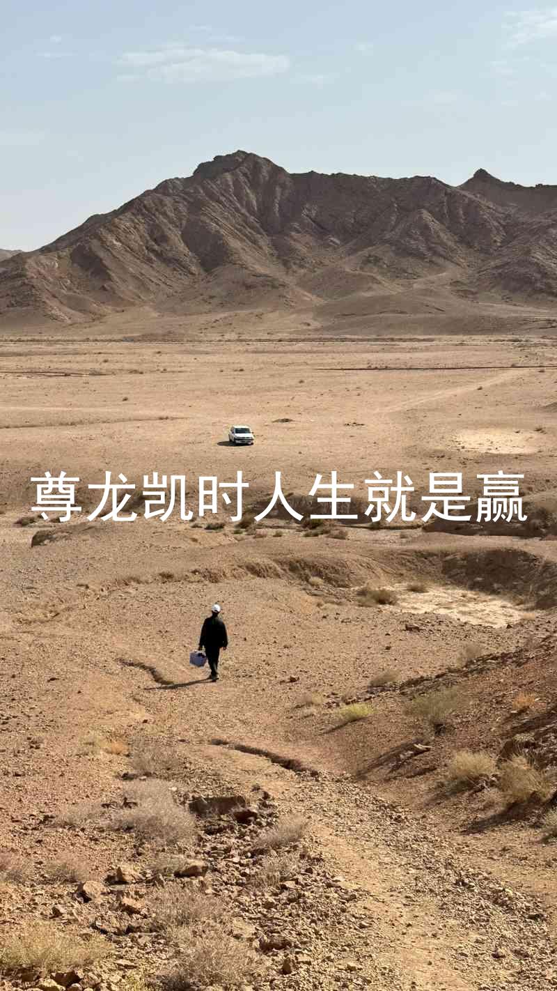 尊龙凯时人生就是赢