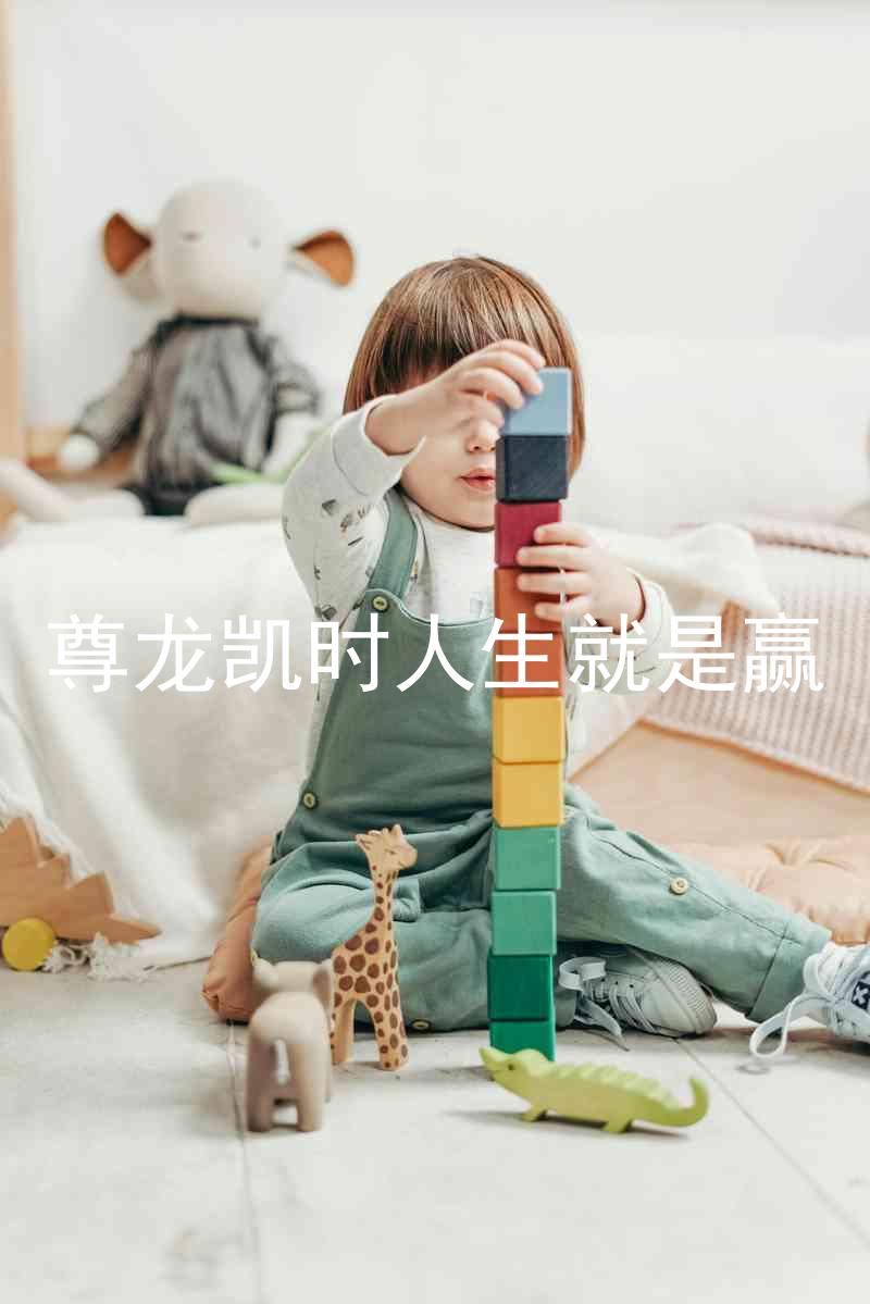 尊龙凯时人生就是赢