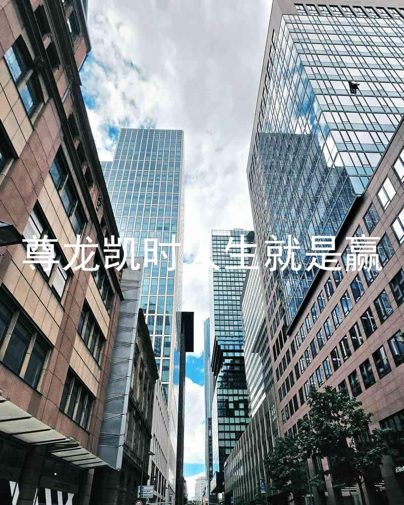 尊龙凯时人生就是赢