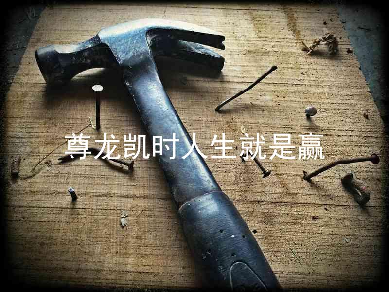 尊龙凯时人生就是赢